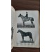 Урусов С.П. Книга о лошади в 2 томах. Антикварное издание 1911-1912 г